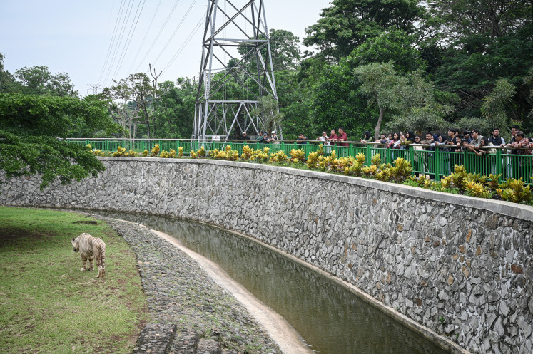Night vision: Jakarta Governor Pramono Anung (right) and Indonesian Olympic Committee Chairman Raja Sapta Oktohari (second right) inspect the Bengal tiger enclosure on Aug. 14 at Ragunan Zoo, South Jakarta. His administration is set to revitalize the zoo and study a plan to open the zoo at night. 