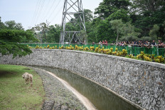 City to improve facilities at Ragunan zoo after successful night trial