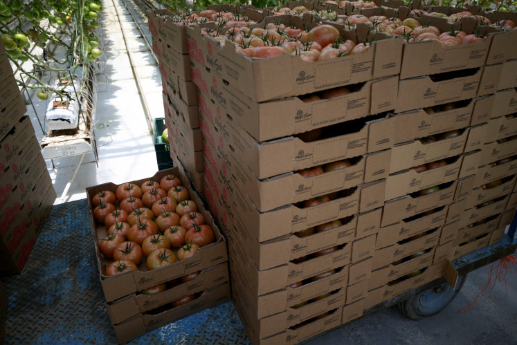 Freshly-picked tomatoes are seen packed in boxes inside a warehouse at Agroindustrias Campo Real, a Mexican exporter to the US, following the US government's decision to impose a 17 percent duty on fresh tomato imports, in Zacatecas, Mexico, on Aug. 13, 2025.