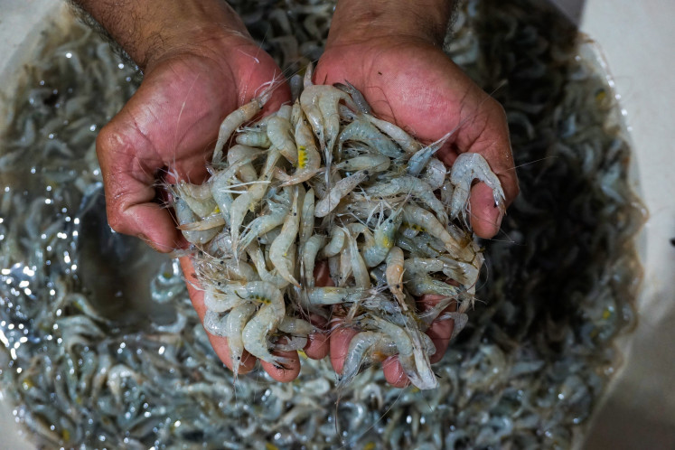 A trader displays shrimp for sale at the Muara Angke Fish Market on Sept. 2 in North Jakarta. The Maritime Affairs and Fisheries Ministry said that the potential market value of blue food, or food originating from water, will continue to increase to US$419 billion by 2030.