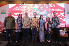 (Courtesy of Apical)