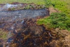 Forest fire still high in 2025 despite wetter dry season