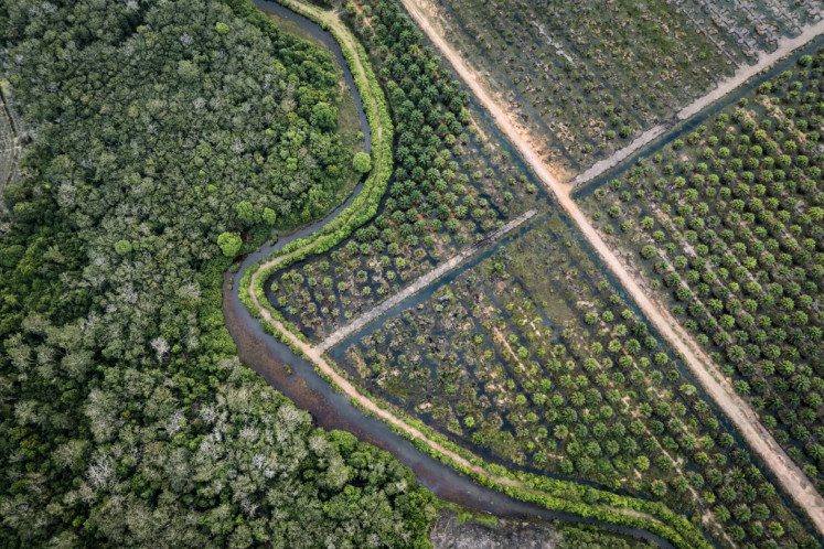 An aerial photo shows an oil palm plantation (right) and a peatland forest in Bangsal village, Ogan Komering Ilir regency, South Sumatra, on June 10, 2025. 
