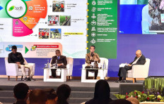 (Courtesy of Badan Pengelola Dana Lingkungan Hidup)