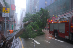 Firemen prepare to remove an uprooted tree as Super Typhoon Ragasa hits Hong Kong on September 24, 2025. Hong Kong's weather service issued the highest level of typhoon warning in the early hours, as Super Typhoon Ragasa brought powerful winds and lashing rain to the southern Chinese coast.