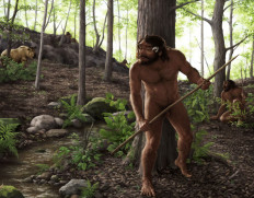 This artist's impression shows a group of archaic humans hunting in a forest roughly 1 million years ago in China's Hubei Province.