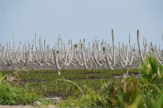 (Courtesy of The M4CR Project)