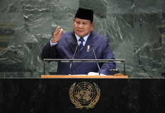 Prabowo’s second year and the changing economic landscape