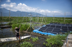 A farmer stands on a boat that passes through solar panels installed as part of the Rawa Pening floating solar photovoltaic plant on Oct. 12, 2025, in Tuntang, Semarang regency, Central Java.