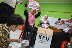 Business community split over direct, indirect regional polls