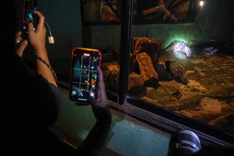 Nighttime safari: Visitors take photos of a Sunda porcupine (Hystrix javanica) with their smartphones on Oct. 11 during a night tour at Ragunan Zoo in South Jakarta. The management of Ragunan Zoo has officially launched “Night at the Ragunan Zoo”, a night tour event to expand access to animal themed education, especially for students and the local community. The event also aims to give families alternative entertainment sources during the evening.