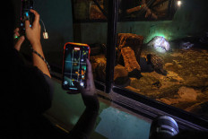 Nighttime safari: Visitors take photos of a Sunda porcupine (Hystrix javanica) with their smartphones on Oct. 11 during a night tour at Ragunan Zoo in South Jakarta. The management of Ragunan Zoo has officially launched “Night at the Ragunan Zoo”, a night tour event to expand access to animal themed education, especially for students and the local community. The event also aims to give families alternative entertainment sources during the evening.