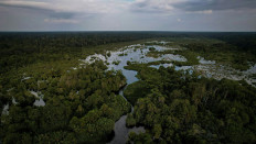 APRIL Group launches 5-year collaboration with IUCN to advance conservation science