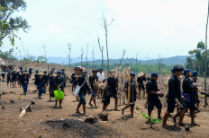 Court allows indigenous peoples to cultivate forests