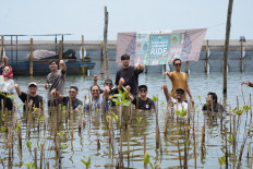 Directorate General of PDASRH secretary Muhammad Zainal Arifin participates in a mangrove planting activity with the Elders Elletrica electric motorcycle community. (Courtesy of The M4CR Project)