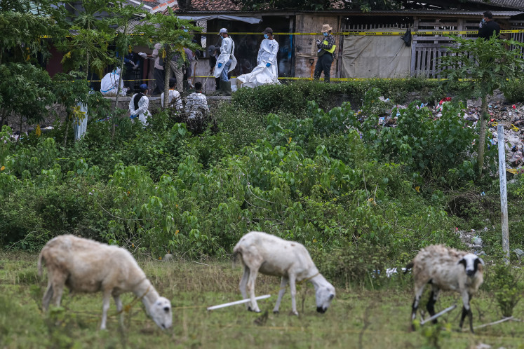 Removing the threat: Goats graze in a field on Monday near a Cesium-137 (Cs-137) decontamination site around the Cikande Modern Industrial Estate in Serang regency, Banten. Local authorities are ready to cull livestock if they test positive for Cs-137. Hundreds of Cikande residents also have been evacuated as the decontamination process continues.