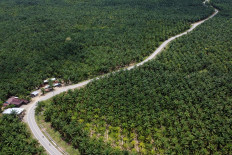 An aerial photo of vehicles passing through a palm oil plantation owned by a company in Central Mamuju regency, West Sulawesi, on Oct. 29, 2025. The Indonesian Palm Oil Association (Gapki) recorded crude palm oil (CPO) production of 35.65 million tons by August 2025, a 13 percent increase compared to 34.522 million tons in the same period last year. 