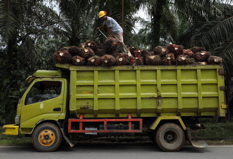 A worker arranges fresh fruit bunches (FFB) in a truck box on Oct. 29, 2025, in Topoyo, Central Mamuju regency, West Sulawesi.