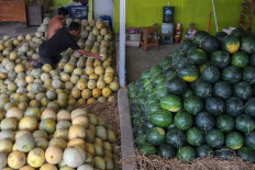 Workers arrange melons at the Rau market in Serang, Banten, on Oct. 3, 2025. Statistics Indonesia (BPS) recorded inflation of 2.31 percent in Banten in September 2025, caused by price increases in nine expenditure groups, including food and beverages.