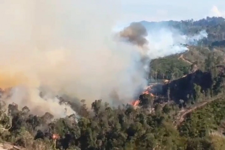 Smoke is billowing from a forest and land fire on July 18, 2025, in Rokan Hulu regency, Riau.  