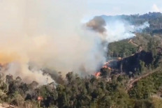 Smoke is billowing from a forest and land fire on July 18, 2025, in Rokan Hulu regency, Riau.  