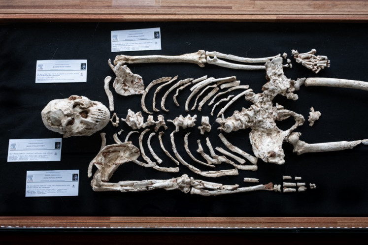 A general view of the osteological reproduction of “Little Foot“ fossil skeleton at the Sterkfontein caves' exhibit on April 25 located within the Cradle of Humankind UNESCO World Heritage Site in Krugersdorp near Johannesburg.