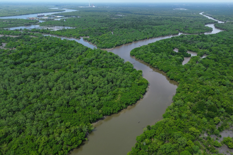 A plot of mangrove forest is seen on Oct. 28 in Deli Serdang, North Sumatra.