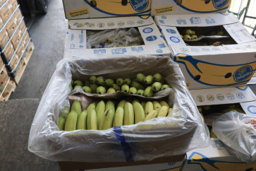 Bananas sit in a box at the National Produce Fruit and Vegetable store on Nov. 14, 2025 in Miami, Florida, the United States