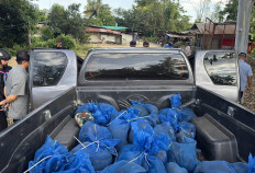 This handout photo taken by the 12th Ranger Forces Regiment of the Royal Thai Army on Nov. 14, 2025 and released on Nov. 15 shows seized macaque monkeys in blue mesh bags after being rescued from a wildlife smuggling operation in Aranyaprathet district in Sa Kaeo province near the Thailand-Cambodia border. Two men suspected of being part of an international wildlife smuggling network were arrested after they were intercepted in a car carrying 81 macaques near the Thai-Cambodian border, according to the Thai military.
