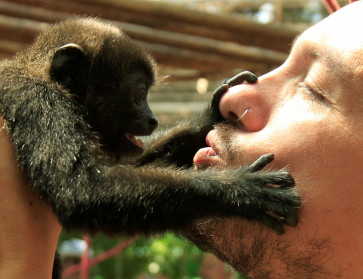 A tourist kisses a monkey at the Jaguar Animal Rescue Center in Puerto Viejo de Limon, August 25, 2010. 