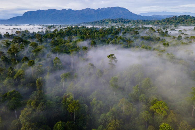 An aerial picture shows a conservation forest on Sept. 25 in Rantau Panjang in East Aceh regency, Aceh.