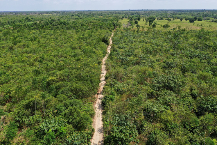 A drone view of the Turmalina Farm in Mae do Rio, Para, Brazil, on Sept. 29, 2025.