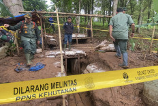 Forest rangers close an illegal gold mining tunnel on Thursday during an operation in Mounts Halimun Salak National Park in Sukabumi regency, West Java. The ministry has identified some 1,400 illegal gold mines and closed 88 of them.
