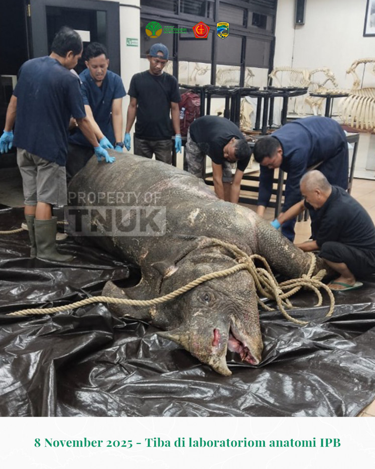 Officials at Bogor Agricultural University (IPB) in West Java examine the carcass of Musofa a male Javan rhinoceros from Ujung Kulon National Park in Banten, on Nov. 8, 2025. Musofa, one of the world’s last remaining male Javan rhinos, died shortly after his historic relocation to the Javan Rhino Study and Conservation Area (JRSCA) as part of a major conservation effort to protect the critically endangered species.