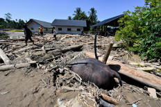 People walk on Nov. 30, 2025, near a dead Sumatran elephant buried in mud in a flood-affected area in Meureudu, Pidie Jaya, in Aceh. The death toll from floods that hit Sumatra last week has risen to 712 people, according to the National Disaster Mitigation Agency (BNPB).