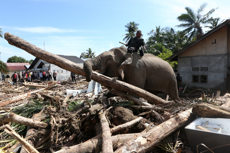 A trained Sumatran elephant (Elephas maximus sumatranus) ridden by a mahout clears wooden debris on Dec. 8 in a residential area of Meunasah Bie village, Pidie Jaya regency, Aceh. The Aceh Natural Resources Conservation Agency (BKSDA) deployed four trained elephants to help remove debris in Pidie Jaya following the widespread flooding and landslides that struck the northern regions of Sumatra and killed more than 900 people.