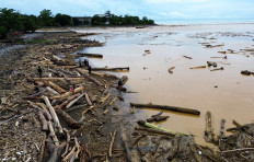 Residents walk among piles of large timber washed ashore on Air Tawar Beach in Padang, West Sumatra, on Friday, Nov. 28, 2025. The logs accumulated along Padang&rsquo;s coastline following recent flash floods. (Antara/Iggoy el Fitra)