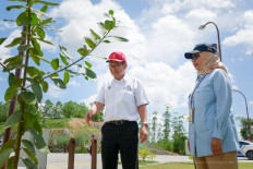 Sarawak plans Air Borneo launch, eyes direct links to Nusantara