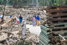 People walk along a path on Dec. 11, 2025, through logs and wood debris left behind by flash floods and landslides in Central Tapanuli regency, North Sumatra.