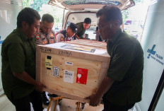 Cargo staff and police officers at Soekarno-Hatta Airport unload the coffin of Indonesian migrant worker Yasmiati from Grobogan, Central Java, upon arrival from Hong Kong on Dec. 23, 2025, at the airport&rsquo;s cargo terminal in Tangerang, Banten. The Foreign Ministry, the Indonesian Consulate in Hong Kong and the Migrant Workers&rsquo; Protection Ministry repatriated nine victims of the Wang Fuk Court apartment fire, on Nov. 26, 2025,  in Tai Po District, Hong Kong