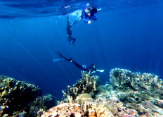 Tourists free dive in a coral reef site on Dec. 28, 2025, at the Oluhuta Paradise tourist attraction in Bone Bolango regency, Gorontalo. Visits to the special-designation tourism site increased from an average of 19 people per day to about 130 people per day during the 2025 Christmas and 2026 New Year holiday period.