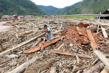 A boy collects firewood on Jan. 2, 2025, from piles of logs carried by landslides in Toweran Uken, Lut Tawar, Central Aceh, Aceh.