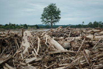 Logs swept in by flash floods weeks earlier lie piled on Dec. 14, 2025, where homes once stood along a river in Aceh Tamiang, North Sumatra. Floods and landslides triggered by extreme weather linked to Cyclone Senyar struck three northern Sumatran provinces in late November, killing at least 1,140 people and damaging more than 170,000 houses. Nearly 400,000 people remained displaced as of Dec. 28, with 163 still unaccounted for.