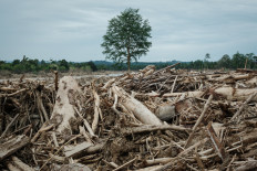 Logs swept in by flash floods weeks earlier lie piled on Dec. 14, 2025, where homes once stood along a river in Aceh Tamiang, North Sumatra. Floods and landslides triggered by extreme weather linked to Cyclone Senyar struck three northern Sumatran provinces in late November, killing at least 1,140 people and damaging more than 170,000 houses. Nearly 400,000 people remained displaced as of Dec. 28, with 163 still unaccounted for.