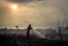 A firefighter battles a peatland wildfire on July 10, 2025, as forest and land fires returned amid extreme heat, in Rimba Panjang, Riau.
