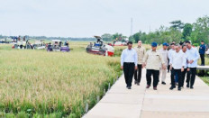 Indonesia sets sights on rice exports this year