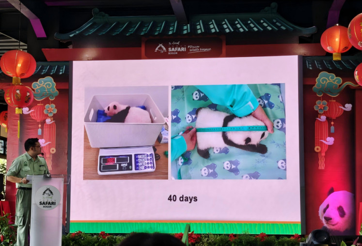An official from Indonesia Safari Park (left) presents a video on Jan. 6, 2026, regarding the health and conditions of the 40-day panda cub at the safari park in Cisarua, Bogor regency, West Java. 