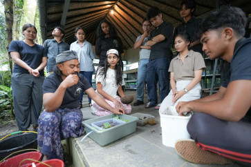 When the lights go out: What tiny fireflies teach us about healing the Earth