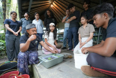 When the lights go out: What tiny fireflies teach us about healing the Earth