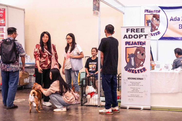 Think you’re ready to rescue a pet?